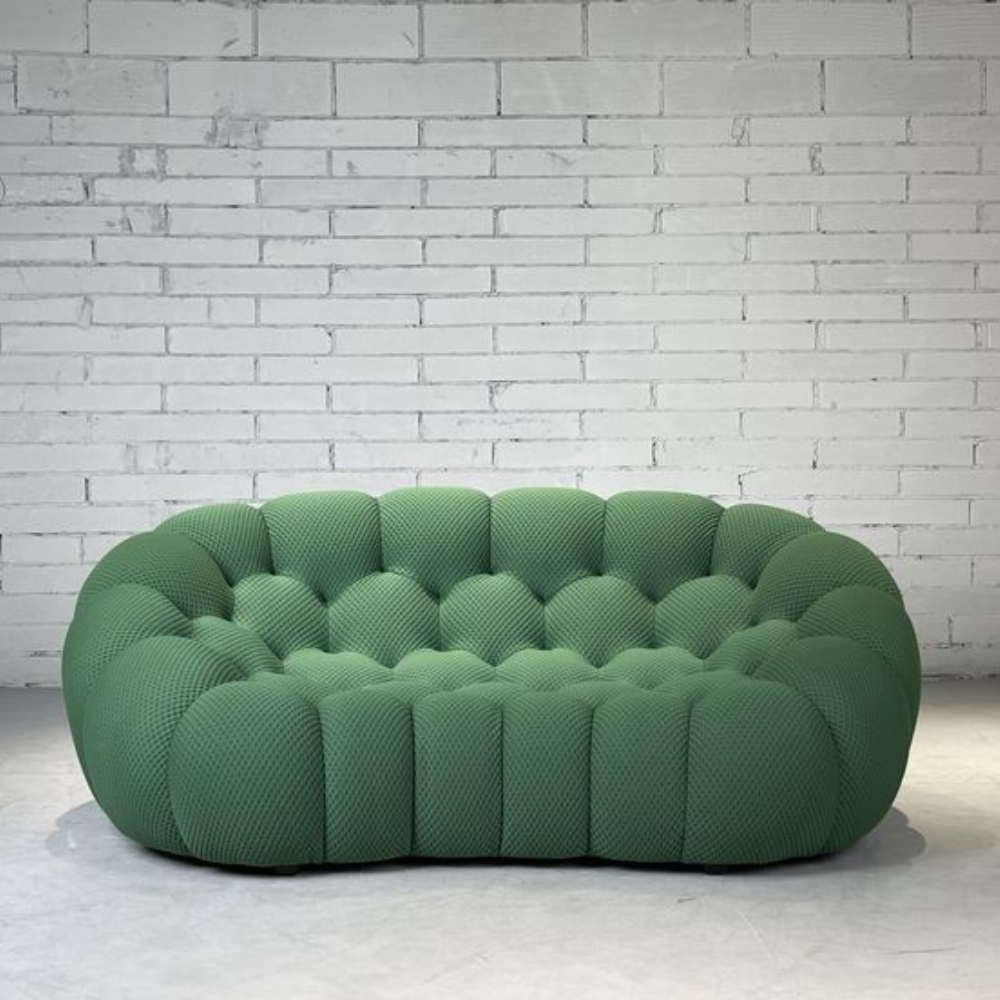 roche bobois 2 seater
